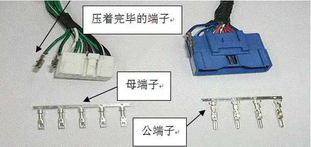 sunbet(中国区)官方网站