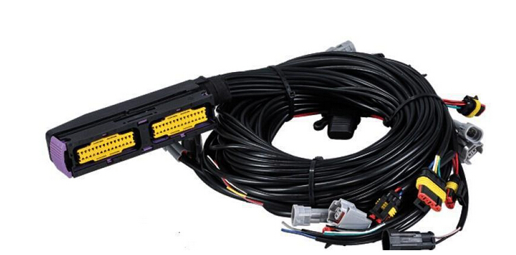 sunbet(中国区)官方网站