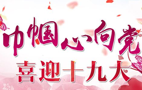  涨知识！咋从8900万党员中选出2300名十九大代表？