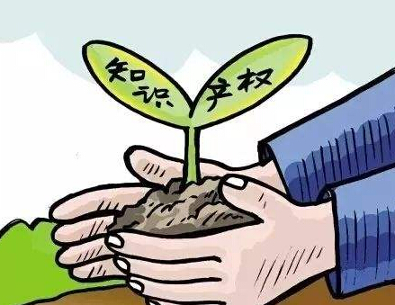 中国专利保护协会《报告》：AI专利申请量 中、美、日分列前三