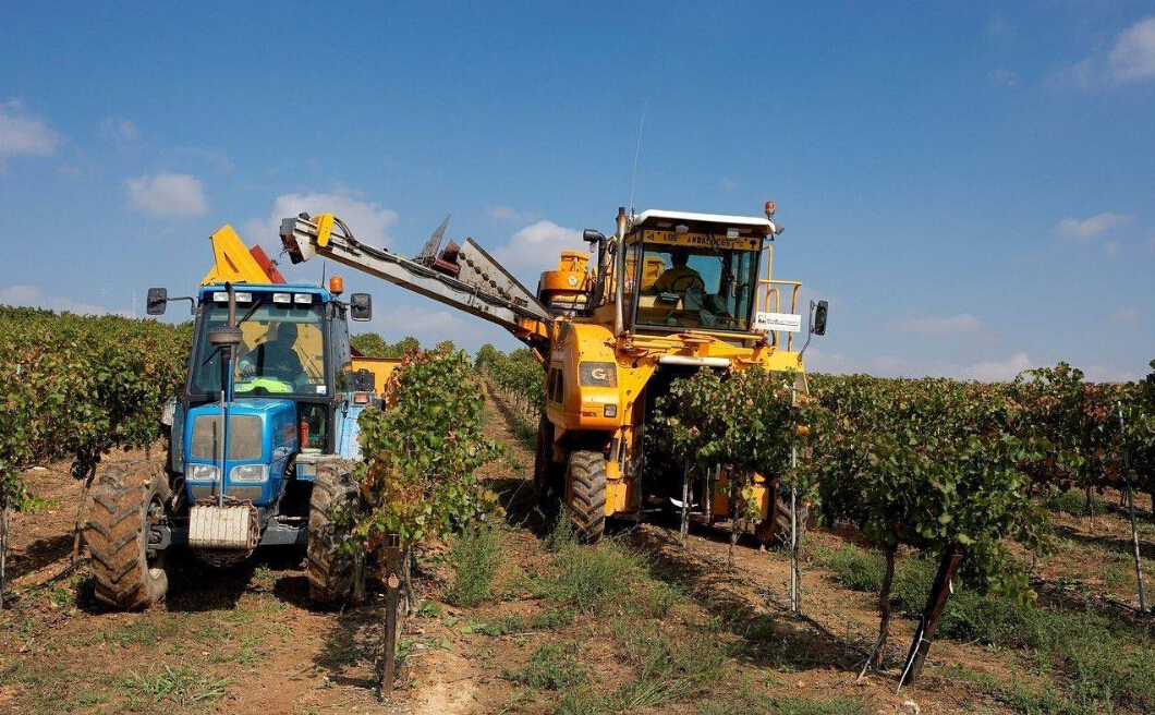 sunbet(中国区)官方网站