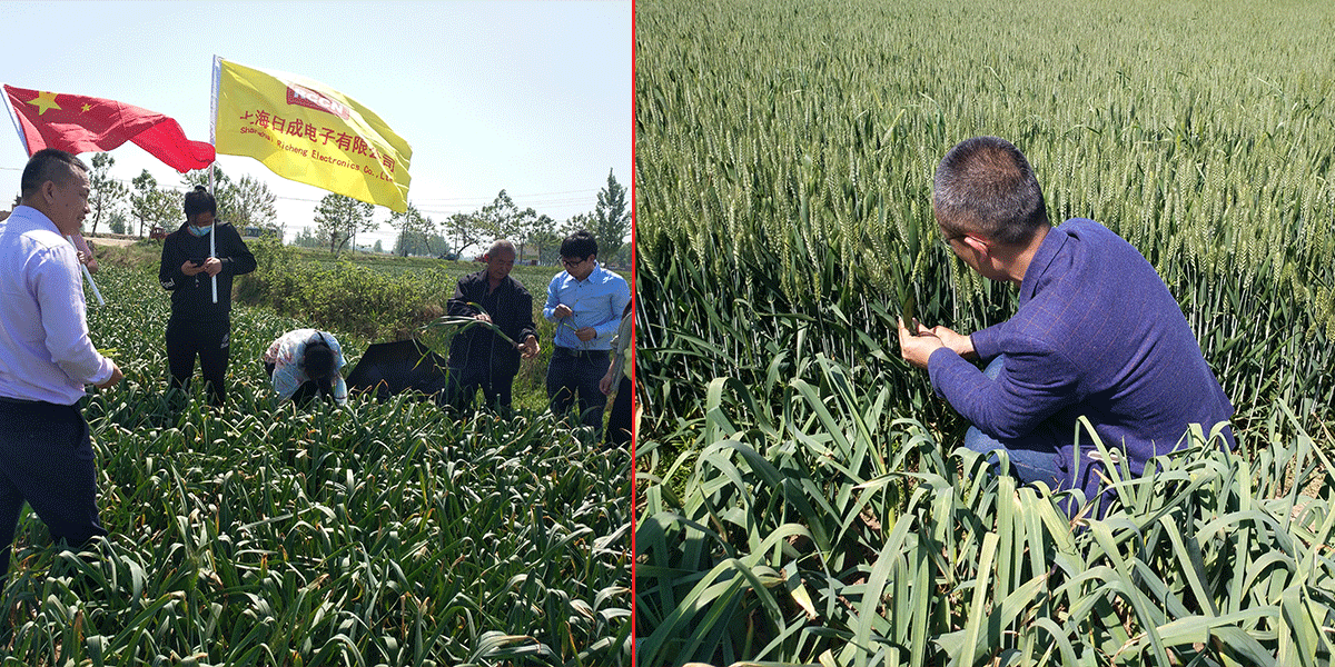 sunbet(中国区)官方网站