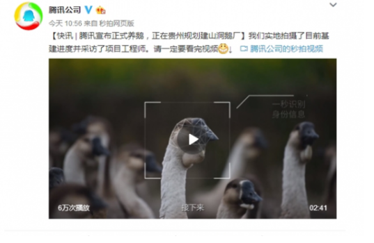 sunbet(中国区)官方网站